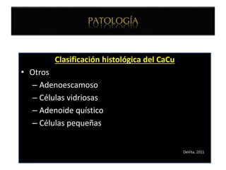 Clasificación histológica del CaCu
• Otros
– Adenoescamoso
– Células vidriosas
– Adenoide quístico
– Células pequeñas
DeVita, 2011
 