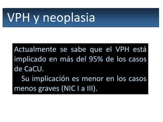 VPH y neoplasia
Actualmente se sabe que el VPH está
implicado en más del 95% de los casos
de CaCU.
Su implicación es menor en los casos
menos graves (NIC I a III).
 