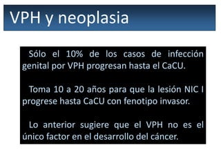 VPH y neoplasia
Sólo el 10% de los casos de infección
genital por VPH progresan hasta el CaCU.
Toma 10 a 20 años para que la lesión NIC I
progrese hasta CaCU con fenotipo invasor.
Lo anterior sugiere que el VPH no es el
único factor en el desarrollo del cáncer.
 
