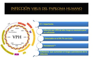 INFECCIÓN VIRUS DEL PAPILOMA HUMANO
El + importante.
Infección por VPH de alto riesgo es necesaria pero
no suficiente
Detectable en el 99.7% con CaCu
Persistencia**
Cofactores que aumentan el riesgo y persistencia de la
infección
Ann Intern Med 2011; 155:698-705
 