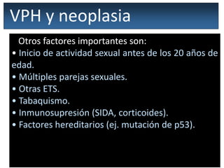 VPH y neoplasia
Otros factores importantes son:
• Inicio de actividad sexual antes de los 20 años de
edad.
• Múltiples parejas sexuales.
• Otras ETS.
• Tabaquismo.
• Inmunosupresión (SIDA, corticoides).
• Factores hereditarios (ej. mutación de p53).
 