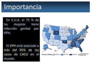 En E.U.A. el 75 % de
las mujeres tiene
infección genital por
VPH.
El VPH está asociado a
más del 95% de los
casos de CACU en el
mundo.
Importancia
 