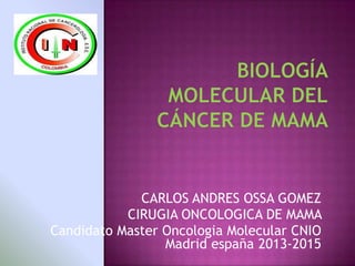 CARLOS ANDRES OSSA GOMEZ
CIRUGIA ONCOLOGICA DE MAMA
Candidato Master Oncologia Molecular CNIO
Madrid españa 2013-2015
 