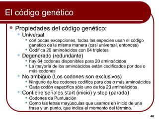 Biología molecular del gen | PPT