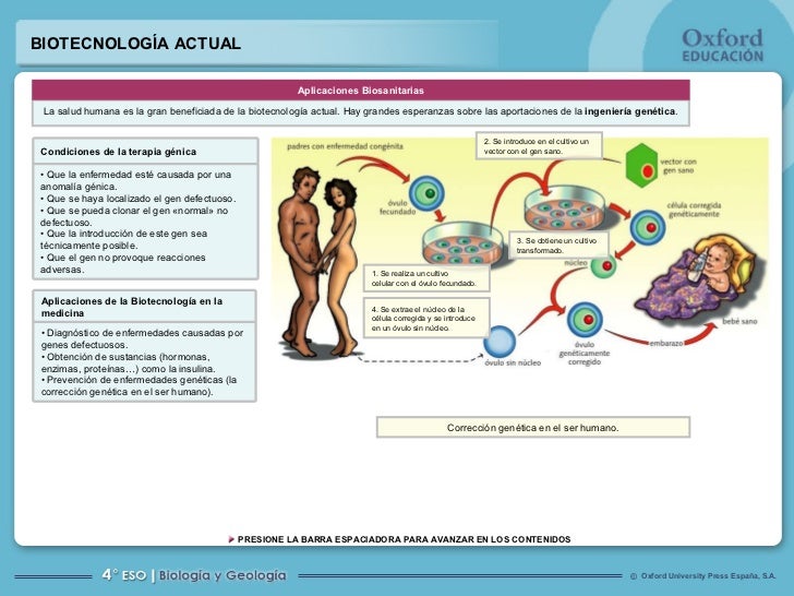 Biologia Molecular Ing Genetica Biotecnologia Reprod Asistida