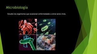 Microbiología
Estudia los organismos que ocasionan enfermedades a otros seres vivos.
 