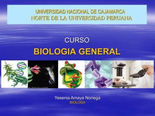 UNIVERSIDAD NACIONAL DE CAJAMARCA
NORTE DE LA UNIVERSIDAD PERUANA
CURSO
BIOLOGIA GENERAL
Yesenia Amaya Noriega
BIOLOGA
 