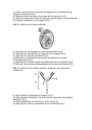 c) ¿Cómo se denominan a este tipo de órganos en el contexto de los
estudios evolutivos? [0,1]
d) Mencione otros tres tipos de pruebas de la evolución [0,3].
e) ¿Cómo se denomina el tipo de evolución que da lugar a la diversidad de
los órganos mostrados en la imagen? [0,1]
C.4. En relación con la figura adjunta:
a) ¿Qué tipo de microorganismo está representado? [0,2]
b) ¿Qué tipo de reproducción se observa en la imagen? [0,1]
c) ¿Qué tipo de nutrición presenta? [0,2]
d) Mencione un polisacárido estructural característico de estos
microorganismos [0,1].
e) ¿Qué tipo de molécula utiliza principalmente como nutriente? [0,2]
f) Mencione dos procesos biotecnológicos en los que intervenga [0,2].
C.5. En relación con la imagen adjunta, responda a las siguientes
cuestiones:
a) ¿Qué molécula representa la imagen? [0,2]
b) ¿Qué células la sintetizan y en qué tipo de respuesta inmunológica
participa? [0,3]
c) ¿Qué representan los números 1, 2, 3 y 4? [0,4]
d) ¿Qué tipo de unión se representa con el número 5? [0,1]
 