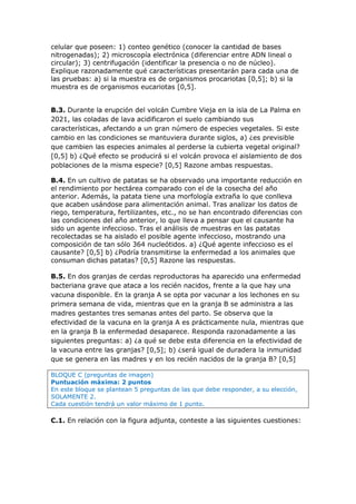 celular que poseen: 1) conteo genético (conocer la cantidad de bases
nitrogenadas); 2) microscopía electrónica (diferenciar entre ADN lineal o
circular); 3) centrifugación (identificar la presencia o no de núcleo).
Explique razonadamente qué características presentarán para cada una de
las pruebas: a) si la muestra es de organismos procariotas [0,5]; b) si la
muestra es de organismos eucariotas [0,5].
B.3. Durante la erupción del volcán Cumbre Vieja en la isla de La Palma en
2021, las coladas de lava acidificaron el suelo cambiando sus
características, afectando a un gran número de especies vegetales. Si este
cambio en las condiciones se mantuviera durante siglos, a) ¿es previsible
que cambien las especies animales al perderse la cubierta vegetal original?
[0,5] b) ¿Qué efecto se producirá si el volcán provoca el aislamiento de dos
poblaciones de la misma especie? [0,5] Razone ambas respuestas.
B.4. En un cultivo de patatas se ha observado una importante reducción en
el rendimiento por hectárea comparado con el de la cosecha del año
anterior. Además, la patata tiene una morfología extraña lo que conlleva
que acaben usándose para alimentación animal. Tras analizar los datos de
riego, temperatura, fertilizantes, etc., no se han encontrado diferencias con
las condiciones del año anterior, lo que lleva a pensar que el causante ha
sido un agente infeccioso. Tras el análisis de muestras en las patatas
recolectadas se ha aislado el posible agente infeccioso, mostrando una
composición de tan sólo 364 nucleótidos. a) ¿Qué agente infeccioso es el
causante? [0,5] b) ¿Podría transmitirse la enfermedad a los animales que
consuman dichas patatas? [0,5] Razone las respuestas.
B.5. En dos granjas de cerdas reproductoras ha aparecido una enfermedad
bacteriana grave que ataca a los recién nacidos, frente a la que hay una
vacuna disponible. En la granja A se opta por vacunar a los lechones en su
primera semana de vida, mientras que en la granja B se administra a las
madres gestantes tres semanas antes del parto. Se observa que la
efectividad de la vacuna en la granja A es prácticamente nula, mientras que
en la granja B la enfermedad desaparece. Responda razonadamente a las
siguientes preguntas: a) ¿a qué se debe esta diferencia en la efectividad de
la vacuna entre las granjas? [0,5]; b) ¿será igual de duradera la inmunidad
que se genera en las madres y en los recién nacidos de la granja B? [0,5]
BLOQUE C (preguntas de imagen)
Puntuación máxima: 2 puntos
En este bloque se plantean 5 preguntas de las que debe responder, a su elección,
SOLAMENTE 2.
Cada cuestión tendrá un valor máximo de 1 punto.
C.1. En relación con la figura adjunta, conteste a las siguientes cuestiones:
 