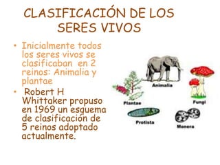 CLASIFICACIÓN DE LOS
SERES VIVOS
• Inicialmente todos
los seres vivos se
clasificaban en 2
reinos: Animalia y
plantae
• Robert H
Whittaker propuso
en 1969 un esquema
de clasificación de
5 reinos adoptado
actualmente.
 
