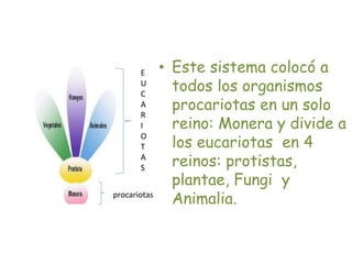 • Este sistema colocó a
todos los organismos
procariotas en un solo
reino: Monera y divide a
los eucariotas en 4
reinos: protistas,
plantae, Fungi y
Animalia.procariotas
E
U
C
A
R
I
O
T
A
S
 