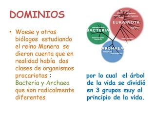 DOMINIOS
• Woese y otros
biólogos estudiando
el reino Monera se
dieron cuenta que en
realidad había dos
clases de organismos
procariotas :
Bacteria y Archaea
que son radicalmente
diferentes
por lo cual el árbol
de la vida se dividió
en 3 grupos muy al
principio de la vida.
 