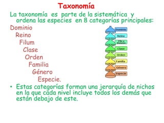 La taxonomía es parte de la sistemática y
ordena las especies en 8 categorías principales:
Dominio
Reino
Filum
Clase
Orden
Familia
Género
Especie.
• Estas categorías forman una jerarquía de nichos
en la que cada nivel incluye todos los demás que
están debajo de este.
Taxonomía
 