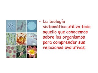 • La biología
sistemática utiliza todo
aquello que conocemos
sobre los organismos
para comprender sus
relaciones evolutivas.
 