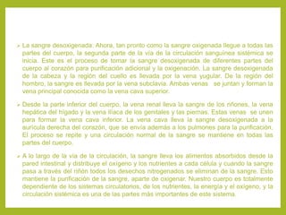  La sangre desoxigenada: Ahora, tan pronto como la sangre oxigenada llegue a todas las
partes del cuerpo, la segunda parte de la vía de la circulación sanguínea sistémica se
inicia. Este es el proceso de tomar la sangre desoxigenada de diferentes partes del
cuerpo al corazón para purificación adicional y la oxigenación. La sangre desoxigenada
de la cabeza y la región del cuello es llevada por la vena yugular. De la región del
hombro, la sangre es llevada por la vena subclavia. Ambas venas se juntan y forman la
vena principal conocida como la vena cava superior.
 Desde la parte inferior del cuerpo, la vena renal lleva la sangre de los riñones, la vena
hepática del hígado y la vena ilíaca de los genitales y las piernas. Estas venas se unen
para formar la vena cava inferior. La vena cava lleva la sangre desoxigenada a la
aurícula derecha del corazón, que se envía además a los pulmones para la purificación.
El proceso se repite y una circulación normal de la sangre se mantiene en todas las
partes del cuerpo.
 A lo largo de la vía de la circulación, la sangre lleva los alimentos absorbidos desde la
pared intestinal y distribuye el oxígeno y los nutrientes a cada célula y cuando la sangre
pasa a través del riñón todos los desechos nitrogenados se eliminan de la sangre. Esto
mantiene la purificación de la sangre, aparte de oxigenar. Nuestro cuerpo es totalmente
dependiente de los sistemas circulatorios, de los nutrientes, la energía y el oxígeno, y la
circulación sistémica es una de las partes más importantes de este sistema.
 