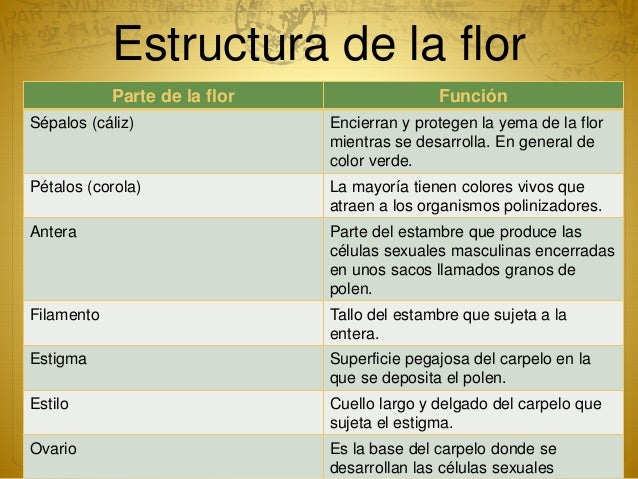 Biología vegetal. reproducción