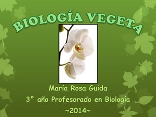 María Rosa Guida

3° año Profesorado en Biología
~2014~

 