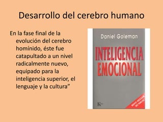 Desarrollo del cerebro humano
En la fase final de la
evolución del cerebro
homínido, éste fue
catapultado a un nivel
radicalmente nuevo,
equipado para la
inteligencia superior, el
lenguaje y la cultura”
 