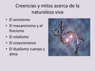 Creencias y mitos acerca de la
naturaleza viva
• El animismo
• El mecanicismo y el
fisicismo
• El vitalismo
• El creacionismo
• El dualismo cuerpo y
alma
 