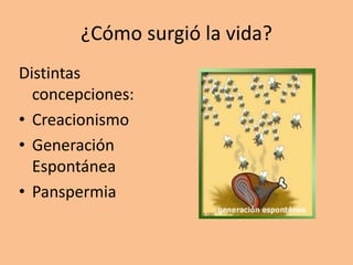 ¿Cómo surgió la vida?
Distintas
concepciones:
• Creacionismo
• Generación
Espontánea
• Panspermia
 