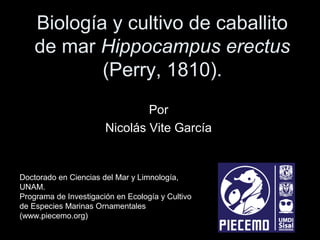 Biología y cultivo de caballito
de mar Hippocampus erectus
(Perry, 1810).
Por
Nicolás Vite García

Doctorado en Ciencias del Mar y Limnología,
UNAM.
Programa de Investigación en Ecología y Cultivo
de Especies Marinas Ornamentales
(www.piecemo.org)

 