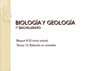 BIOLOGÍA Y GEOLOGÍA
1º BACHILLERATO



Bloque VI El reino animal
Temas 15. Relación en animales.
 