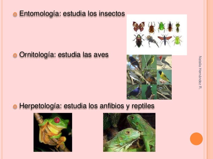 Biología y sus ramas