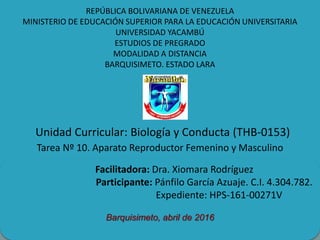 REPÚBLICA BOLIVARIANA DE VENEZUELA
MINISTERIO DE EDUCACIÓN SUPERIOR PARA LA EDUCACIÓN UNIVERSITARIA
UNIVERSIDAD YACAMBÚ
ESTUDIOS DE PREGRADO
MODALIDAD A DISTANCIA
BARQUISIMETO. ESTADO LARA
Unidad Curricular: Biología y Conducta (THB-0153)
Tarea Nº 10. Aparato Reproductor Femenino y Masculino
Facilitadora: Dra. Xiomara Rodríguez
Participante: Pánfilo García Azuaje. C.I. 4.304.782.
Expediente: HPS-161-00271V
Barquisimeto, abril de 2016
 