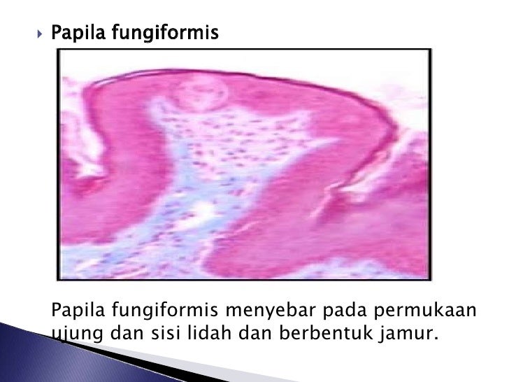 Biologi