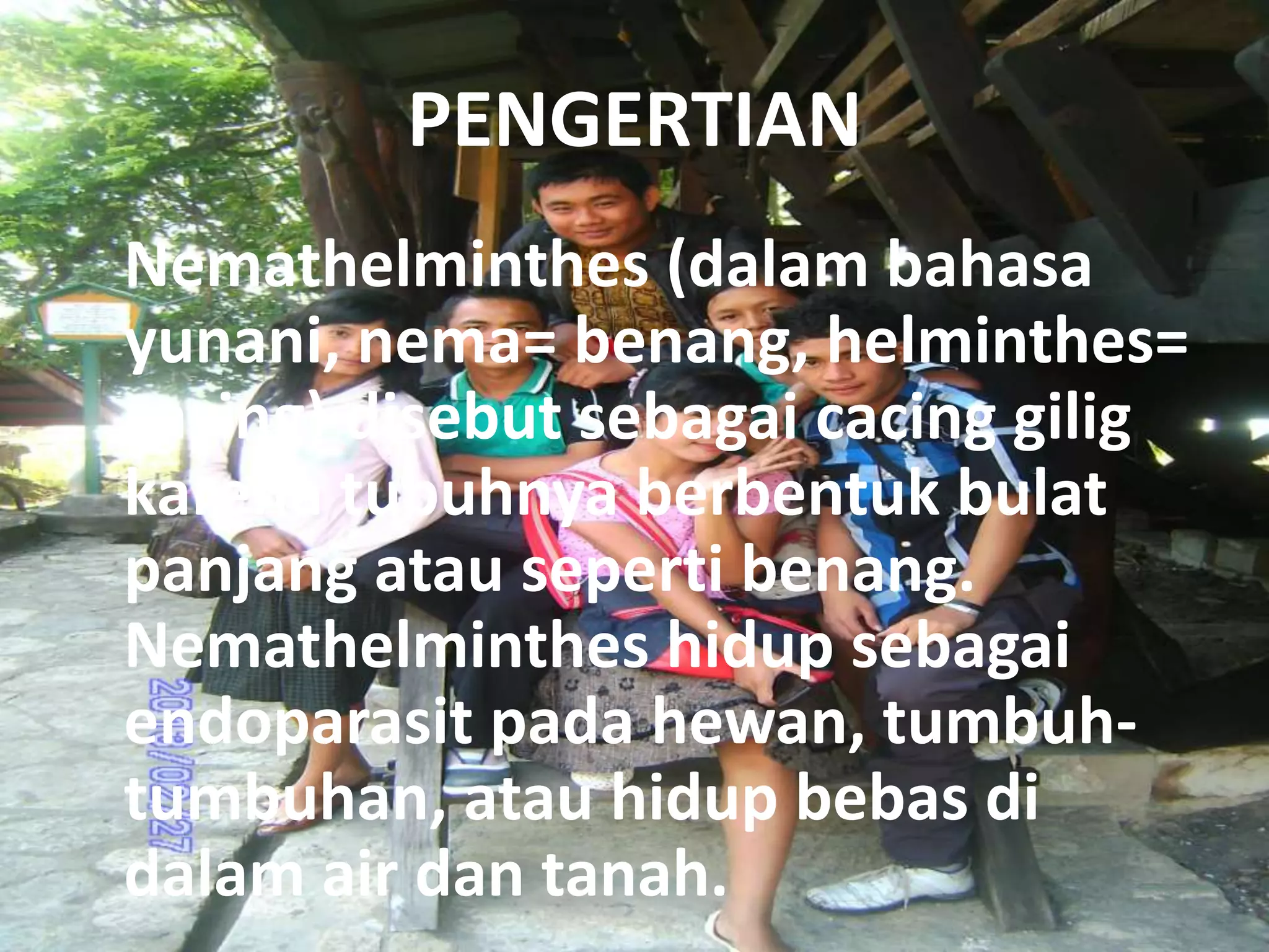 PENGERTIAN
Nemathelminthes (dalam bahasa
yunani, nema= benang, helminthes=
cacing) disebut sebagai cacing gilig
karena tubuhnya berbentuk bulat
panjang atau seperti benang.
Nemathelminthes hidup sebagai
endoparasit pada hewan, tumbuhtumbuhan, atau hidup bebas di
dalam air dan tanah.

 