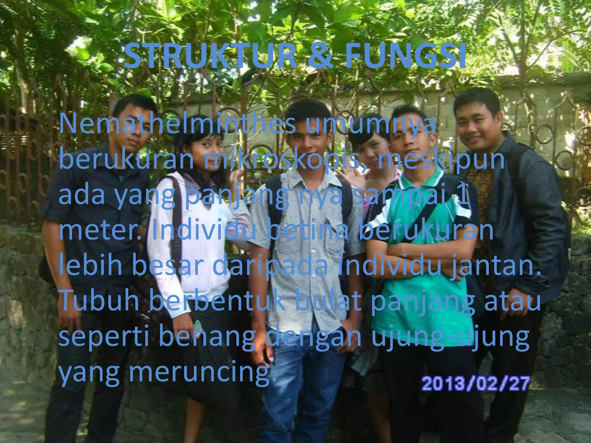 STRUKTUR & FUNGSI
Nemathelminthes umumnya
berukuran mikroskopis, meskipun
ada yang panjang nya sampai 1
meter. Individu betina berukuran
lebih besar daripada individu jantan.
Tubuh berbentuk bulat panjang atau
seperti benang dengan ujung-ujung
yang meruncing.

 