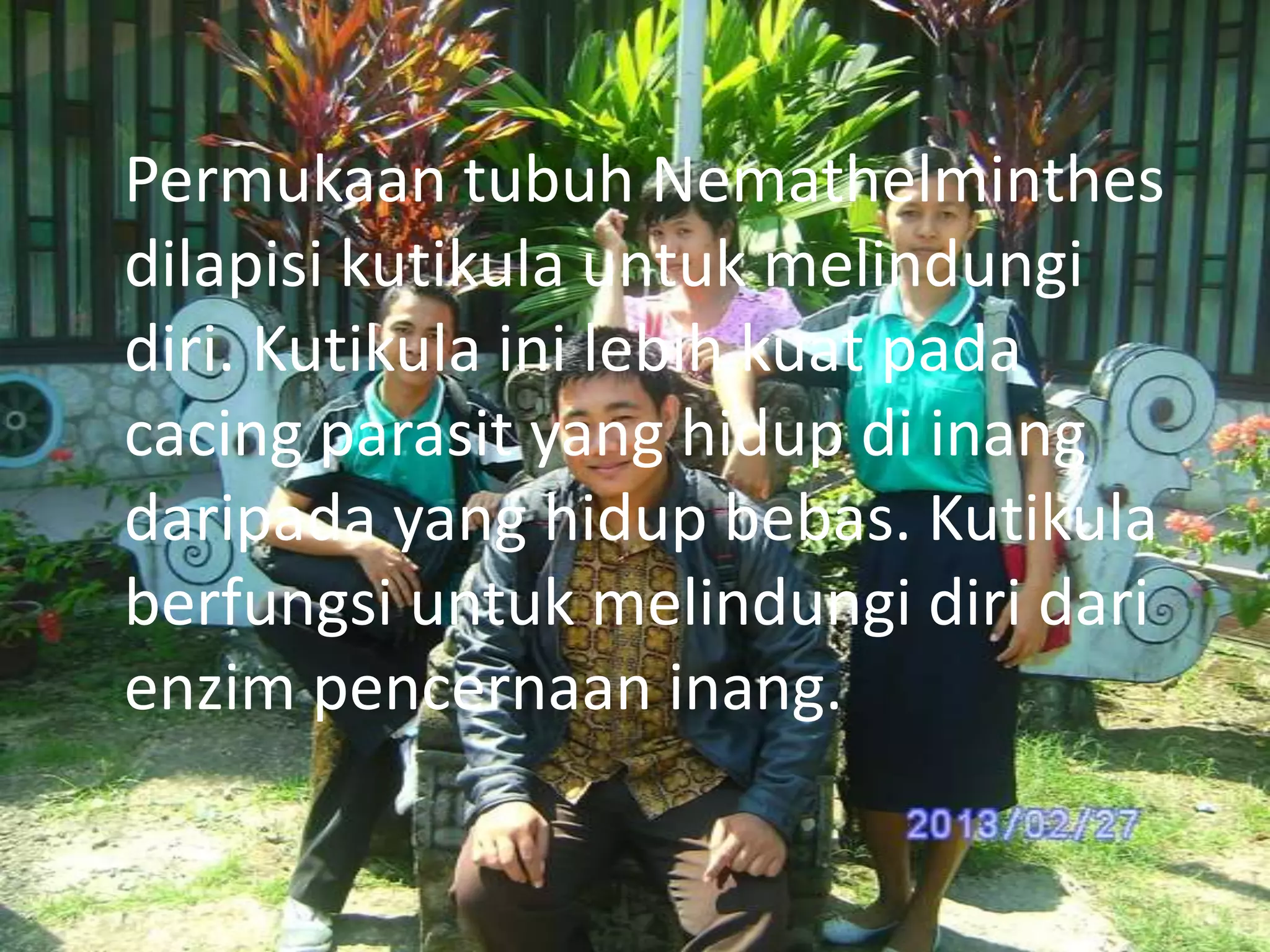 Permukaan tubuh Nemathelminthes
dilapisi kutikula untuk melindungi
diri. Kutikula ini lebih kuat pada
cacing parasit yang hidup di inang
daripada yang hidup bebas. Kutikula
berfungsi untuk melindungi diri dari
enzim pencernaan inang.

 