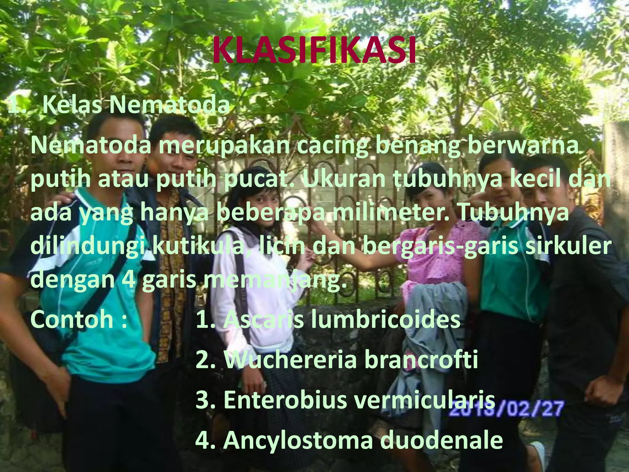 KLASIFIKASI
1. Kelas Nematoda
Nematoda merupakan cacing benang berwarna
putih atau putih pucat. Ukuran tubuhnya kecil dan
ada yang hanya beberapa milimeter. Tubuhnya
dilindungi kutikula, licin dan bergaris-garis sirkuler
dengan 4 garis memanjang.
Contoh :
1. Ascaris lumbricoides
2. Wuchereria brancrofti
3. Enterobius vermicularis
4. Ancylostoma duodenale

 