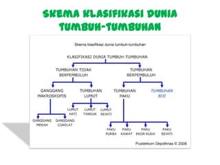 Skema klasifikasi dunia
tumbuh-tumbuhan

 