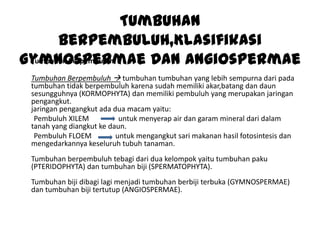 Tumbuhan
Berpembuluh,Klasifikasi
• Tumbuhan Berpembuluh
Gymnospermae Dan Angiospermae
Tumbuhan Berpembuluh  tumbuhan tumbuhan yang lebih sempurna dari pada
tumbuhan tidak berpembuluh karena sudah memiliki akar,batang dan daun
sesungguhnya (KORMOPHYTA) dan memiliki pembuluh yang merupakan jaringan
pengangkut.
jaringan pengangkut ada dua macam yaitu:
Pembuluh XILEM
untuk menyerap air dan garam mineral dari dalam
tanah yang diangkut ke daun.
Pembuluh FLOEM
untuk mengangkut sari makanan hasil fotosintesis dan
mengedarkannya keseluruh tubuh tanaman.
Tumbuhan berpembuluh tebagi dari dua kelompok yaitu tumbuhan paku
(PTERIDOPHYTA) dan tumbuhan biji (SPERMATOPHYTA).
Tumbuhan biji dibagi lagi menjadi tumbuhan berbiji terbuka (GYMNOSPERMAE)
dan tumbuhan biji tertutup (ANGIOSPERMAE).

 