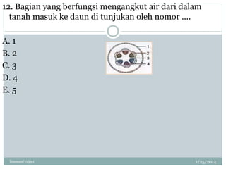 12. Bagian yang berfungsi mengangkut air dari dalam
tanah masuk ke daun di tunjukan oleh nomor ….
A. 1
B. 2
C. 3
D. 4
E. 5

linswan/11ipa1

1/25/2014

 