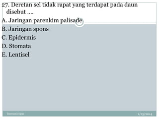 27. Deretan sel tidak rapat yang terdapat pada daun
disebut ….
A. Jaringan parenkim palisade
B. Jaringan spons
C. Epidermis
D. Stomata
E. Lentisel

linswan/11ipa1

1/25/2014

 