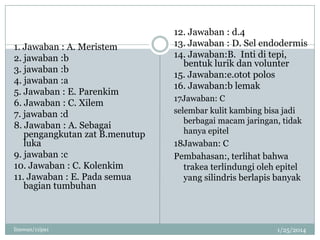 1. Jawaban : A. Meristem
2. jawaban :b
3. jawaban :b
4. jawaban :a
5. Jawaban : E. Parenkim
6. Jawaban : C. Xilem
7. jawaban :d
8. Jawaban : A. Sebagai
pengangkutan zat B.menutup
luka
9. jawaban :c
10. Jawaban : C. Kolenkim
11. Jawaban : E. Pada semua
bagian tumbuhan

linswan/11ipa1

12. Jawaban : d.4
13. Jawaban : D. Sel endodermis
14. Jawaban:B. Inti di tepi,
bentuk lurik dan volunter
15. Jawaban:e.otot polos
16. Jawaban:b lemak
17Jawaban: C
selembar kulit kambing bisa jadi
berbagai macam jaringan, tidak
hanya epitel

18Jawaban: C
Pembahasan:, terlihat bahwa
trakea terlindungi oleh epitel
yang silindris berlapis banyak

1/25/2014

 