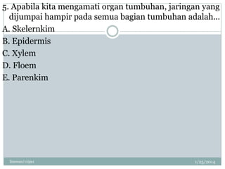 5. Apabila kita mengamati organ tumbuhan, jaringan yang
dijumpai hampir pada semua bagian tumbuhan adalah…
A. Skelernkim
B. Epidermis
C. Xylem
D. Floem
E. Parenkim

linswan/11ipa1

1/25/2014

 