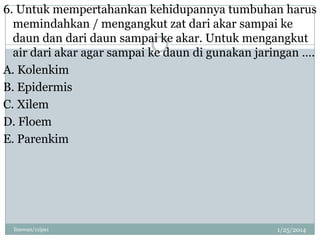6. Untuk mempertahankan kehidupannya tumbuhan harus
memindahkan / mengangkut zat dari akar sampai ke
daun dan dari daun sampai ke akar. Untuk mengangkut
air dari akar agar sampai ke daun di gunakan jaringan ….
A. Kolenkim
B. Epidermis
C. Xilem
D. Floem
E. Parenkim

linswan/11ipa1

1/25/2014

 