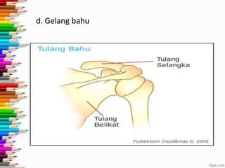 d. Gelang bahu

 