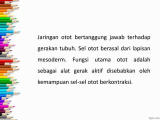 Jaringan otot bertanggung jawab terhadap
gerakan tubuh. Sel otot berasal dari lapisan
mesoderm. Fungsi utama otot adalah

sebagai alat gerak aktif disebabkan oleh
kemampuan sel-sel otot berkontraksi.

 