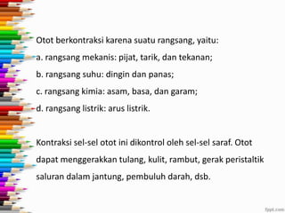 Otot berkontraksi karena suatu rangsang, yaitu:

a. rangsang mekanis: pijat, tarik, dan tekanan;
b. rangsang suhu: dingin dan panas;
c. rangsang kimia: asam, basa, dan garam;
d. rangsang listrik: arus listrik.

Kontraksi sel-sel otot ini dikontrol oleh sel-sel saraf. Otot
dapat menggerakkan tulang, kulit, rambut, gerak peristaltik
saluran dalam jantung, pembuluh darah, dsb.

 