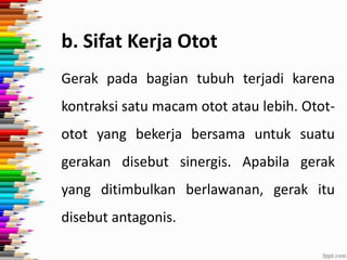 b. Sifat Kerja Otot
Gerak pada bagian tubuh terjadi karena
kontraksi satu macam otot atau lebih. Otototot yang bekerja bersama untuk suatu
gerakan disebut sinergis. Apabila gerak
yang ditimbulkan berlawanan, gerak itu

disebut antagonis.

 