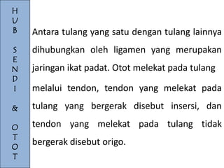 H
U
B

Antara tulang yang satu dengan tulang lainnya

S
E
N
D
I

dihubungkan oleh ligamen yang merupakan

&

tulang yang bergerak disebut insersi, dan

O
T
O
T

tendon yang melekat pada tulang tidak

jaringan ikat padat. Otot melekat pada tulang
melalui tendon, tendon yang melekat pada

bergerak disebut origo.

 
