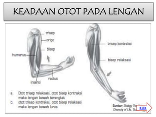 KEADAAN OTOT PADA LENGAN

KLIK

 