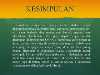KESIMPULAN
Berdasarkan pengamatan yang kami lakukan, dapat
disimpulkan bahwa tumbuhan paku dan lumut mempunyai ciriciri yang berbeda dan mempunyai banyak macam atau
klasifikasi. Tumbuhan paku juga dapat dengan mudah
ditemukan di lingkungan SMAN 1 Samarinda yang berada di
darat dan ada pula yang di perairan atau tempat lembab serta
ada yang hidupnya menempel, yang dominan atau paling
banyak ditemukan di lingkungan SMAN 1 Samarinda adalah
kelompok Pterophyta/Felicinae (paku sejati). Sedangkan untuk
tumbuhan lumut banyak ditemukan didaerah lembab dan
berair, juga di batang pohon di sekitar SMAN 1 Samarinda
yang termasuk dalam kelompok Musci.

 