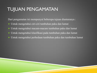 TUJUAN PENGAMATAN
Dari pengamatan ini mempunyai beberapa tujuan diantaranya :
 Untuk mengetahui ciri-ciri tumbuhan paku dan lumut
 Untuk mengetahui macam-macam tumbuhan paku dan lumut
 Untuk mengetahui klasifikasi pada tumbuhan paku dan lumut
 Untuk mengetahui perbedaan tumbuhan paku dan tumbuhan lumut

 