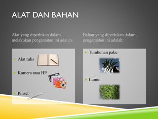 ALAT DAN BAHAN
Alat yang diperlukan dalam
melakukan pengamatan ini adalah:

Bahan yang diperlukan dalam
pengamatan ini adalah:
 Tumbuhan paku

 Alat tulis
 Kamera atau HP
 Lumut
 Pinset

 
