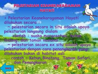 > Pelestarian Keanekaragaman Hayati
dilakukan secara :
~ pelestarian secara in situ adalah upaya
pelestarian langsung dialam
contoh : suaka margasatwa, hutan
lindung, dan taman nasional
~ pelestarian secara ex situ adalah upaya
pelestarian dengan cara penangkaran yang
dilakukan bukan di habitat asli
contoh : Kebun Binatang, Taman Safari,
dan Penangkaran
BACK
